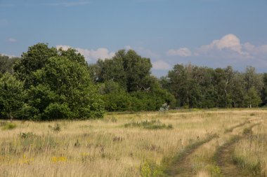 yaz günü kırsal manzara