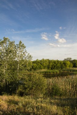 yaz günü kırsal manzara