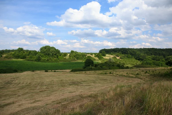 Paysage paysager avec Haymaking — Photo