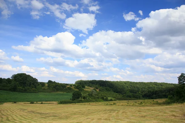 Landschaftspflege mit Heuernte — Stockfoto