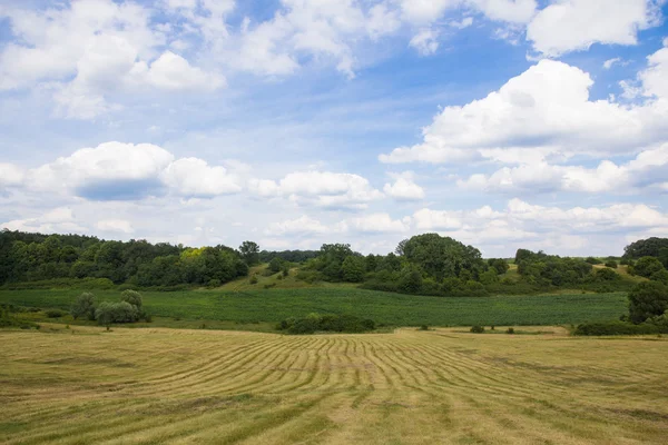 haymaking ile lansdscape