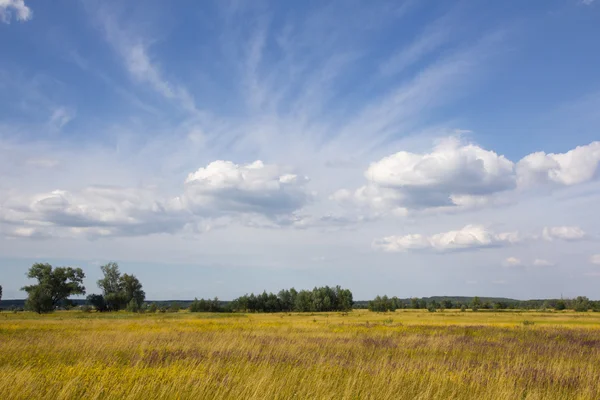 Ländliche Landschaft an Sommertagen — Stockfoto