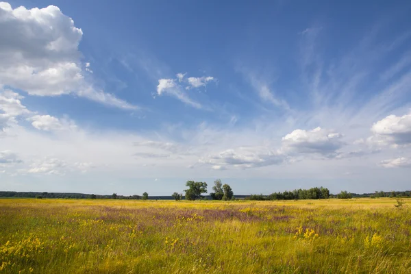 Ländliche Landschaft an Sommertagen — Stockfoto