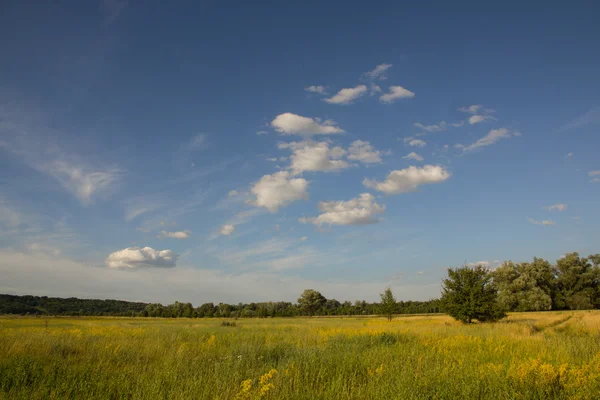 Ländliche Landschaft an Sommertagen — Stockfoto