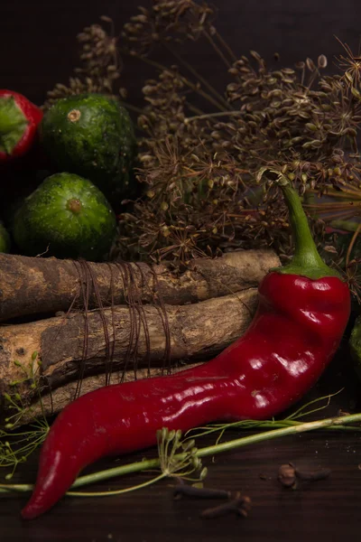 Vegetables and spices — Stock Photo, Image