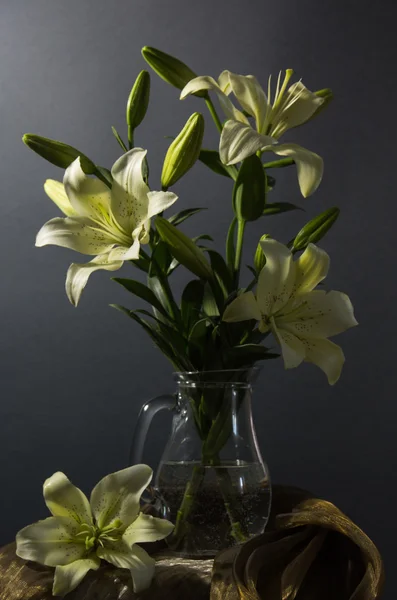 Still life with lily — Stock Photo, Image