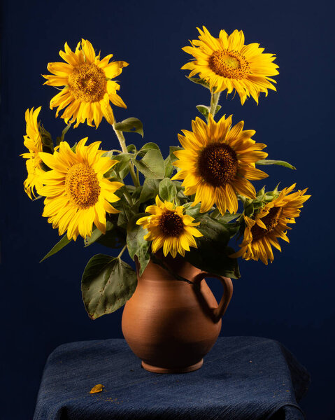 Still life. Beautiful Sunflowers in ceramic jug on a blue background