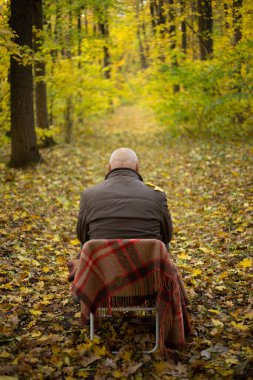 Bir sonbahar ormanının arka planına karşı yalnızlık ve üzüntü kavramı.