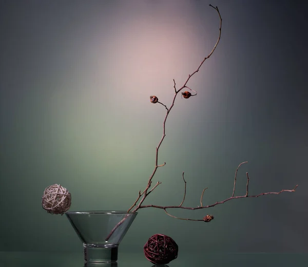 Nature Morte Avec Des Branches Sèches Des Hanches Rose Concept — Photo