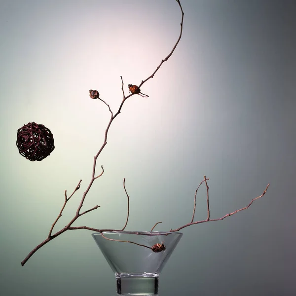 Nature Morte Avec Des Branches Sèches Des Hanches Rose Concept — Photo