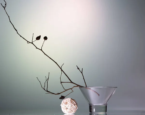 Nature Morte Avec Des Branches Sèches Des Hanches Rose Concept — Photo