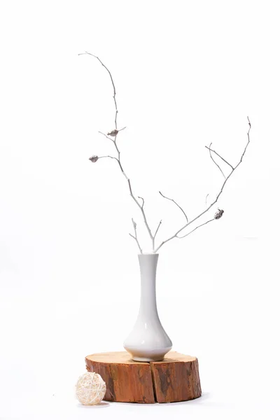 Nature Morte Avec Des Branches Sèches Dans Vase Blanc Concept — Photo