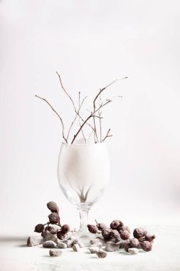 Karla kaplı bir cam ve hafif bir arka planda kuru dallarla sakin bir hayat.