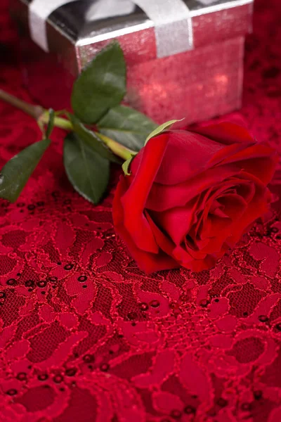 Fond Rouge Avec Motif Dentelle Rose — Photo