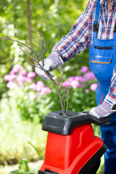 Shredding Branches Electric Garden Shredder Garden — 图库照片