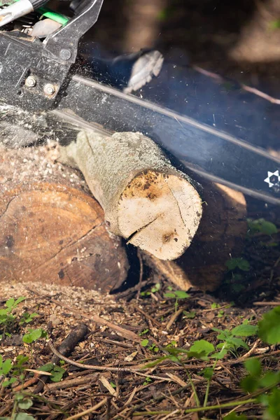 Petrol Saw Cuts Dry Log Firewood — Stockfoto