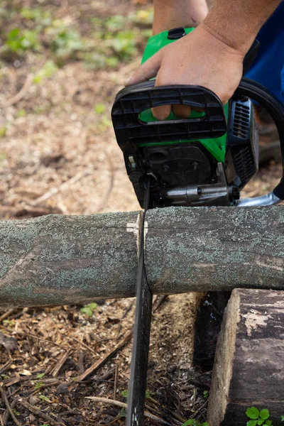Petrol Saw Cuts Dry Log Firewood — Fotografia de Stock