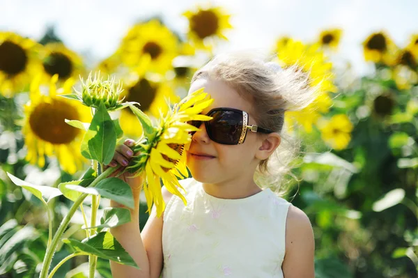 Sommar — Stockfoto