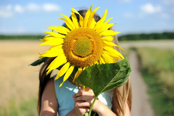 Piękny słonecznik — Zdjęcie stockowe