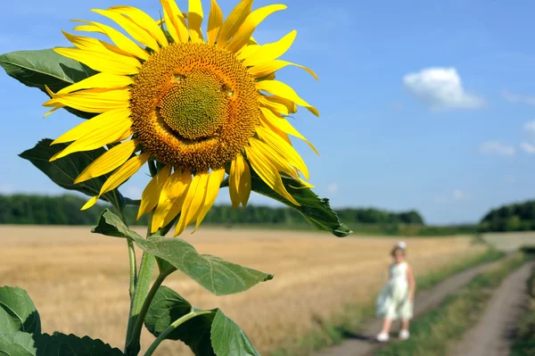 Le — Stockfoto