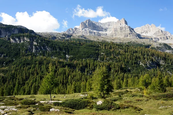 Natuur — Stockfoto