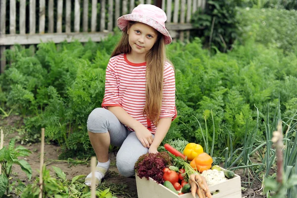 En el jardín — Foto de Stock