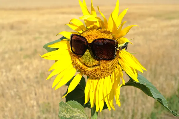 Glück — Stockfoto