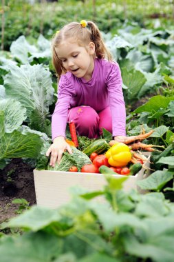 Küçük Yardımcısı