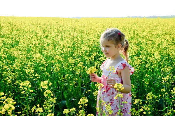 Gul lycka — Stockfoto