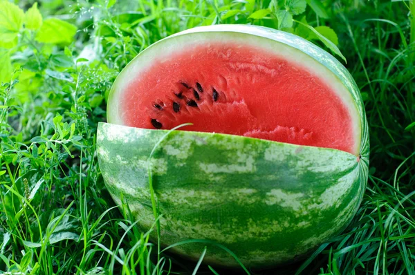 Mogen vattenmelon — Stockfoto