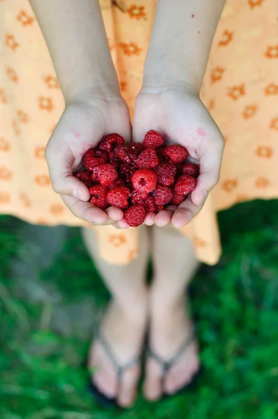 Söt sommar — Stockfoto