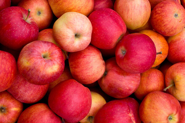 Red apples