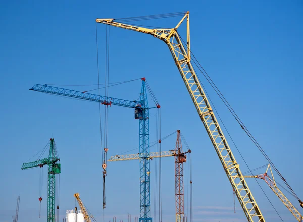 Cranes Stock Image