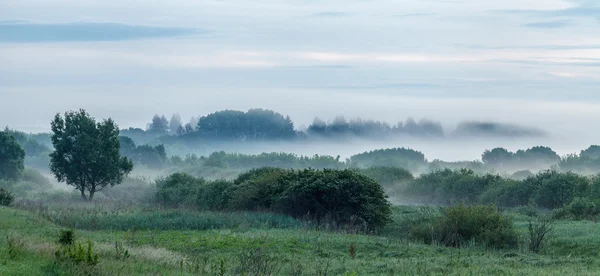 Porannej mgle — Zdjęcie stockowe