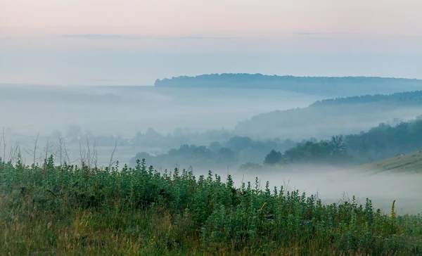 Brouillard matinal — Photo