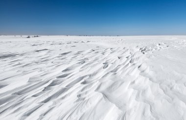 Snowdrifts
