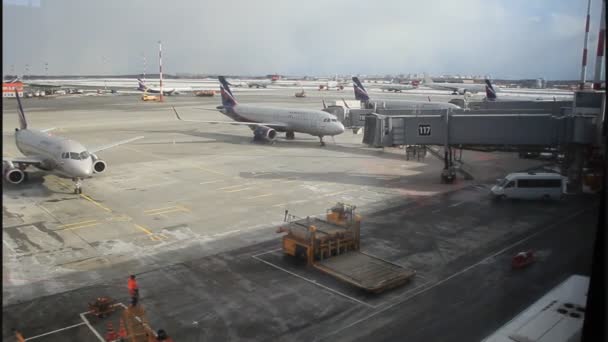 Moscow Russia March 2019 Servicing Passenger Airplane Airbridge Boarding Departure — Stock Video
