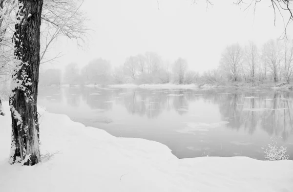 Winter landscape Stock Image