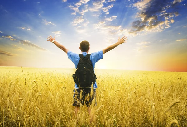 Homme dans la prairie de blé jaune . — Photo