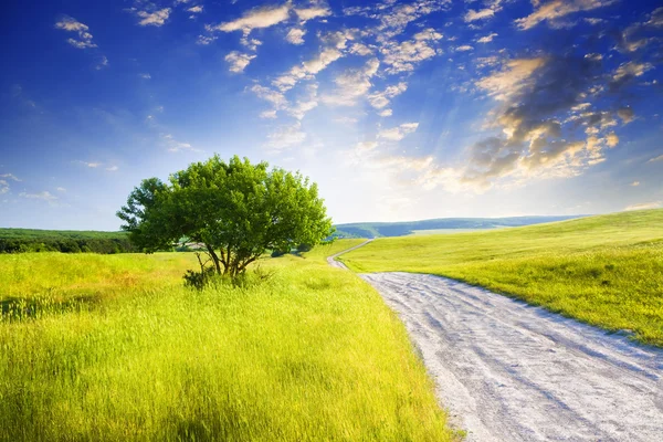 Strada tra prati verdi — Foto Stock