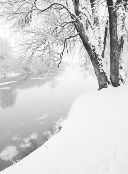 Paisaje invierno — Foto de Stock