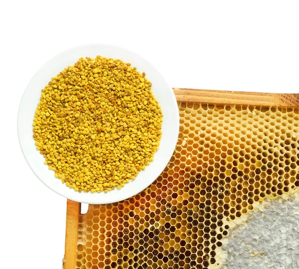 Miel nids d'abeilles et pollen — Photo