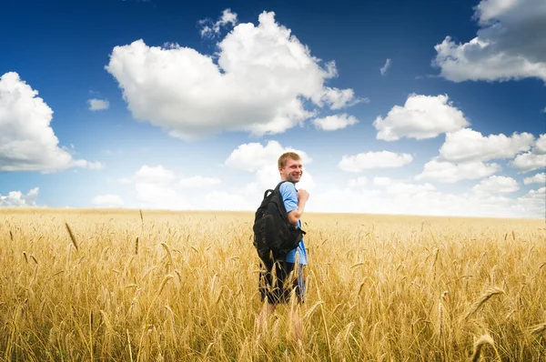 Homme dans la prairie de blé jaune . — Photo