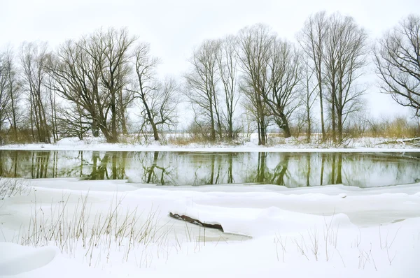 Río de invierno — Foto de Stock