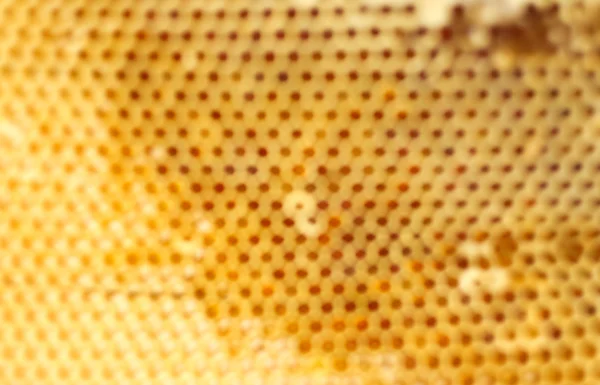 Bienenwaben. — Stockfoto