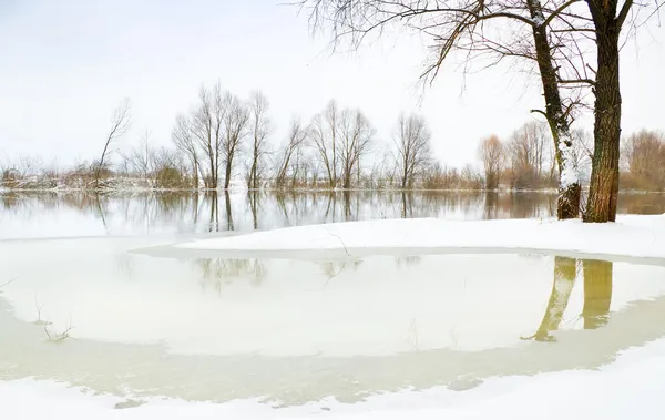 Paisagem inverno — Fotografia de Stock