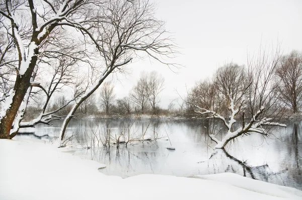 Rivière d'hiver — Photo