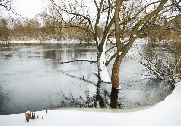 Temporada de Inverno — Fotografia de Stock