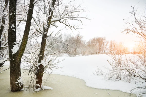 Wintersaison — Stockfoto