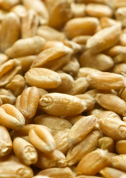 Wheat grains close up — Stock Photo, Image